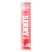 Shot Ice - Blueberry/Mint vodka 10,5% 10x 40ml